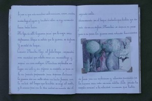 Libro de artistaMambrú se fue a la guerra