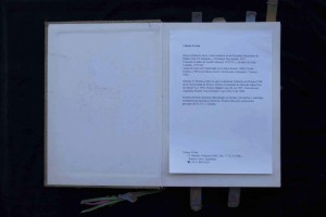 Libro de artistaAdán y Eva
