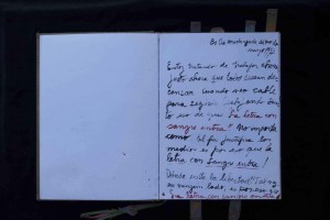 Libro de artistaAdán y Eva
